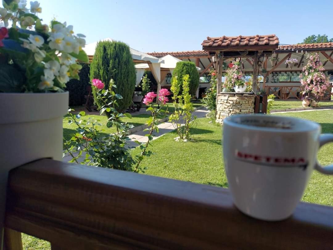 Sharkov Family Hotel Ognyanovo  Εξωτερικό φωτογραφία